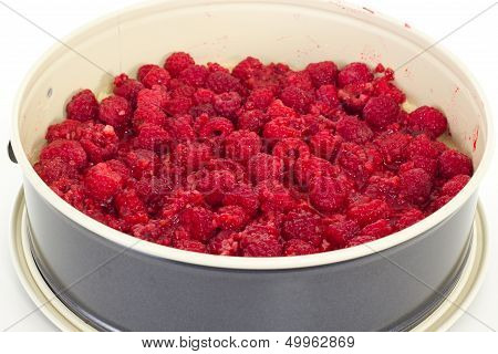 Cake In Springform Pan With Raspberries