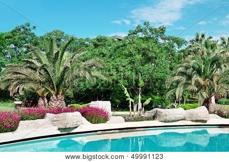 Palm Trees And Flowers Around The Outdoor Pool