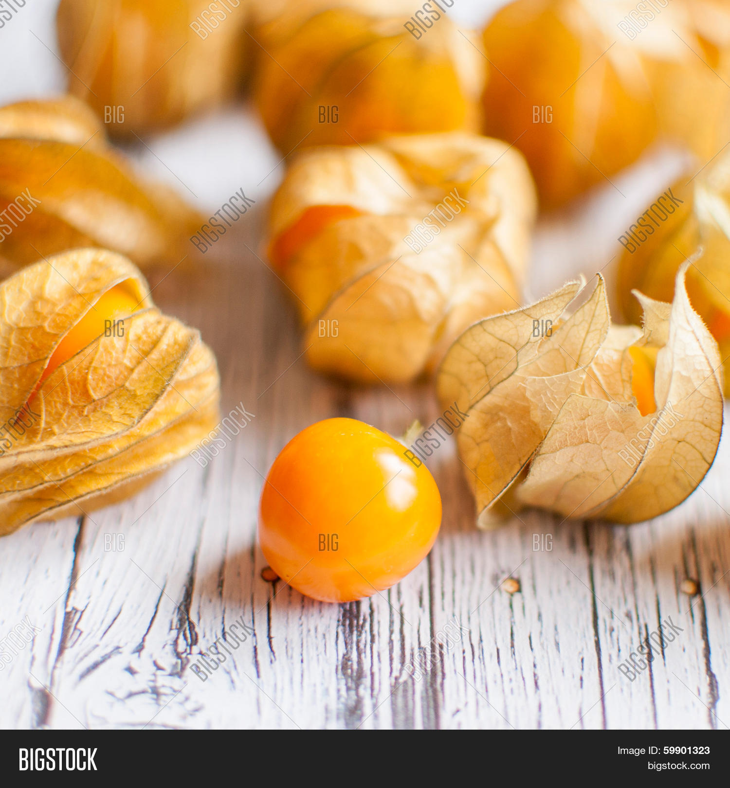 Image Preview