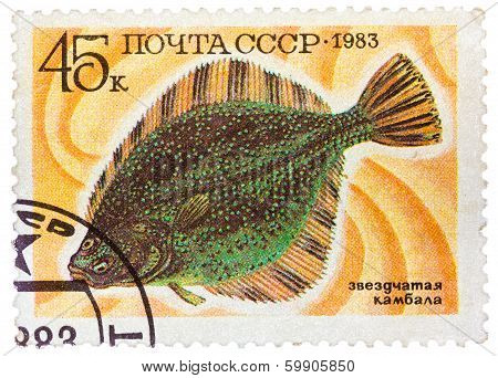 Stamp Printed By Russia, Shows Underwater Fish Flounder