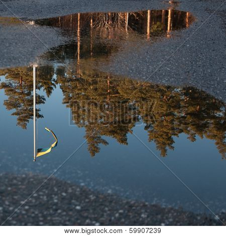 Flag Reflection In A Puddle