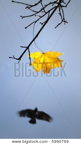 Vento di autunno