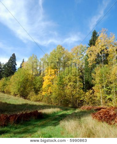 Autunno
