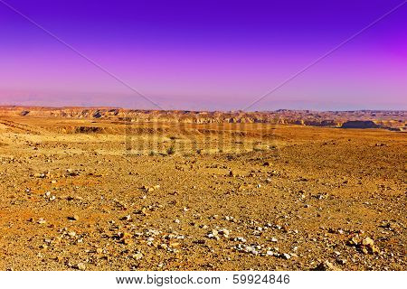 Desert