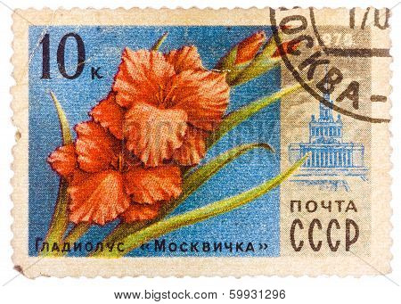 Stamp Printed In Ussr (cccp, Soviet Union) Shows Image Of Gladiolus Moscovite And Vdnh Building From
