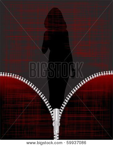 Sexy Zipper