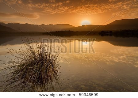 Lac De Codole, Reginu Valley In Corsica