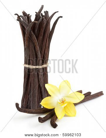 Vanilla pods and orhid flower isolated on white background