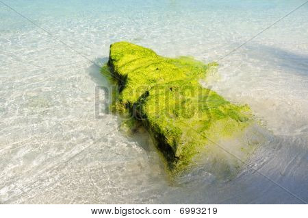 Rock