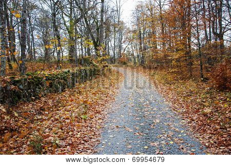 The Old Road