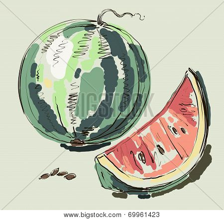 Vector hand drawing realistic watermelon