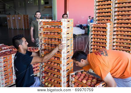 Products Of Agricultural Cooperative Of Naoussa, Greece, Carried In Boxes. The Famous 
