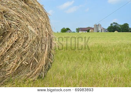 Hay Rolls