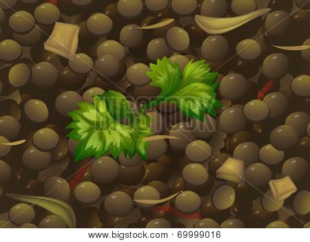 Illustration of a closeup of lentil soup