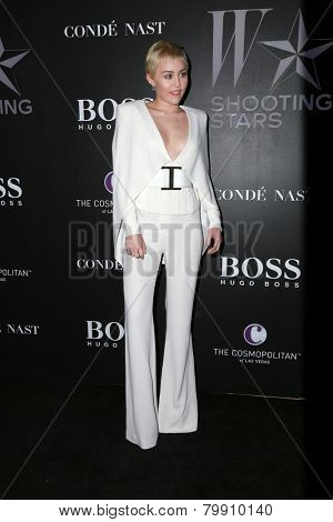 LOS ANGELES - JAN 9:  Miley Cyrus at the W Magazine`s Shooting Stars Exhibit at the Old May Company Building on January 9, 2015 in Los Angeles, CA