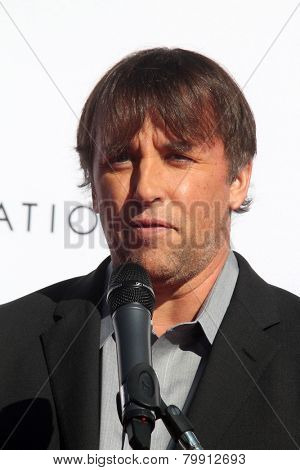 LOS ANGELES - JAN 8:  Richard Linklater at the Ethan Hawke Hand and Foot Print Ceremony at a TCL Chinese Theater on January 8, 2014 in Los Angeles, CA
