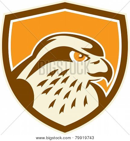 Peregrine Falcon Head Shield Retro