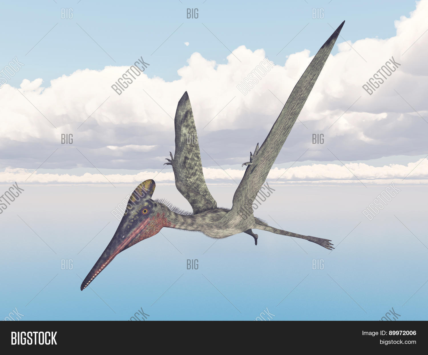 Image Preview