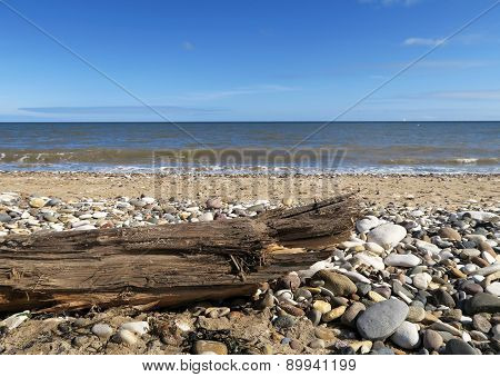 Driftwood On Stoney Beach
