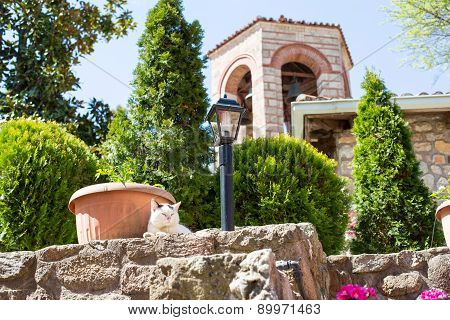 The Cat And Monastery Bell Tower On Background