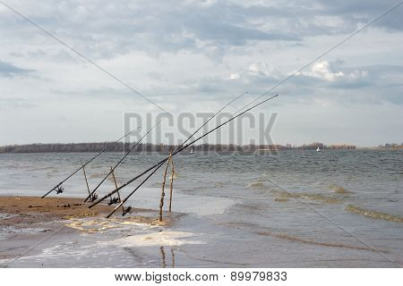 four rods on the pegs at the river