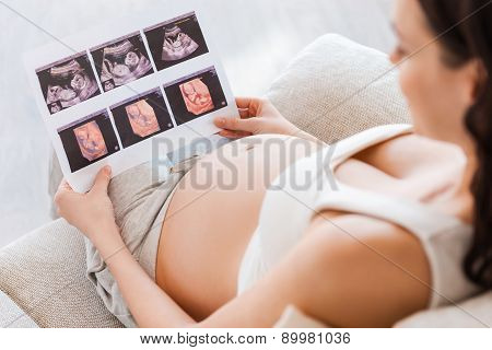 Examining X-ray Picture.