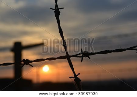 Barb-wire Fence