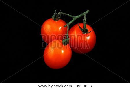Bunch of red tomatoes