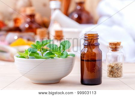Natural Spa Ingredients Essential Oil With Oregano Leaves For Aromatherapy Setup On Spa Ingredients