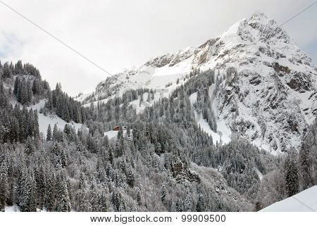 Alpine Scene, Austria