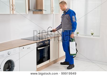 Pest Control Worker Spraying Pesticide On Induction Hob