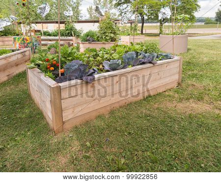 Community Garden