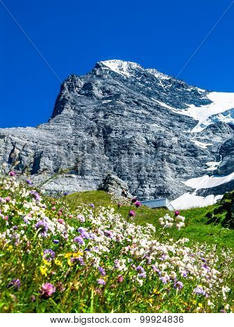Eiger Switzerland. One of amazing mountain peaks in Berner Oberland part of European Alps main landmark of Swiss Confederation