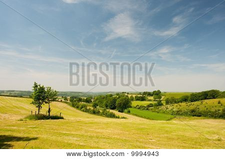 Hills yeşil manzara