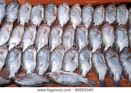 Fresh Fish Exposed On The Market Stalls Of The Village Pomerini In Tanzania, Africa 716