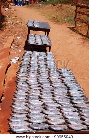 Fresh Fish Exposed On The Market Stalls Of The Village Pomerini In Tanzania, Africa