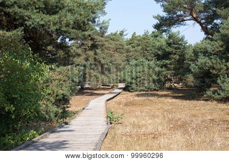 Planks way