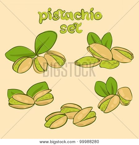 pistachio