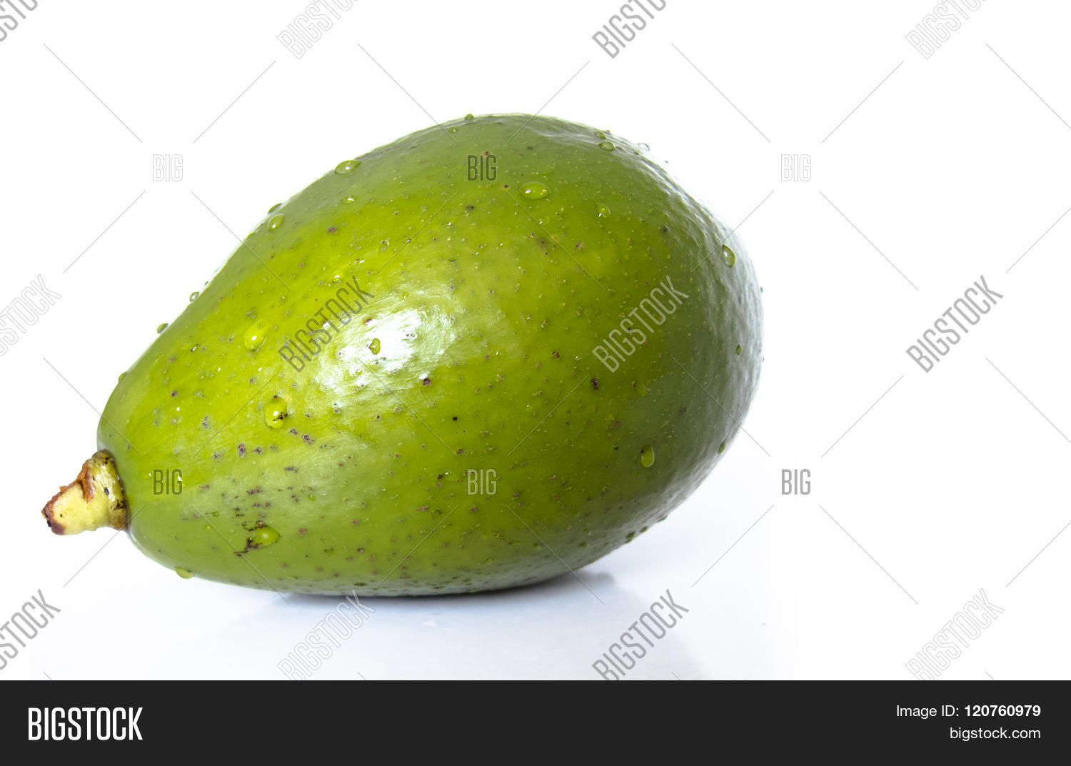 green avocado - abacate verde e maduro