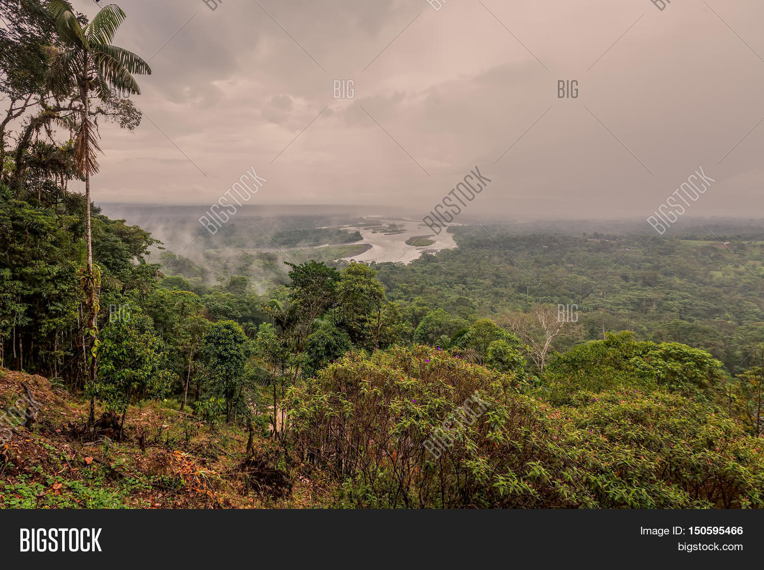 ecuadorian part of the amazonian basin ecuador so
