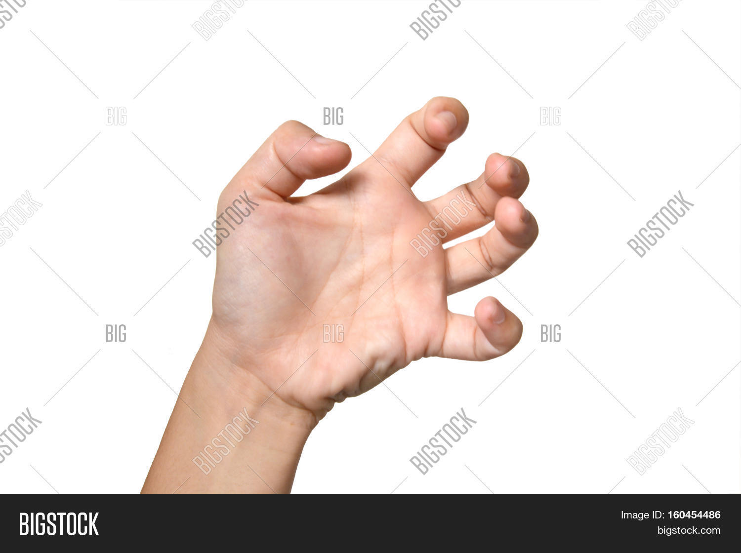 frizzle fingers style with white background,five fingers