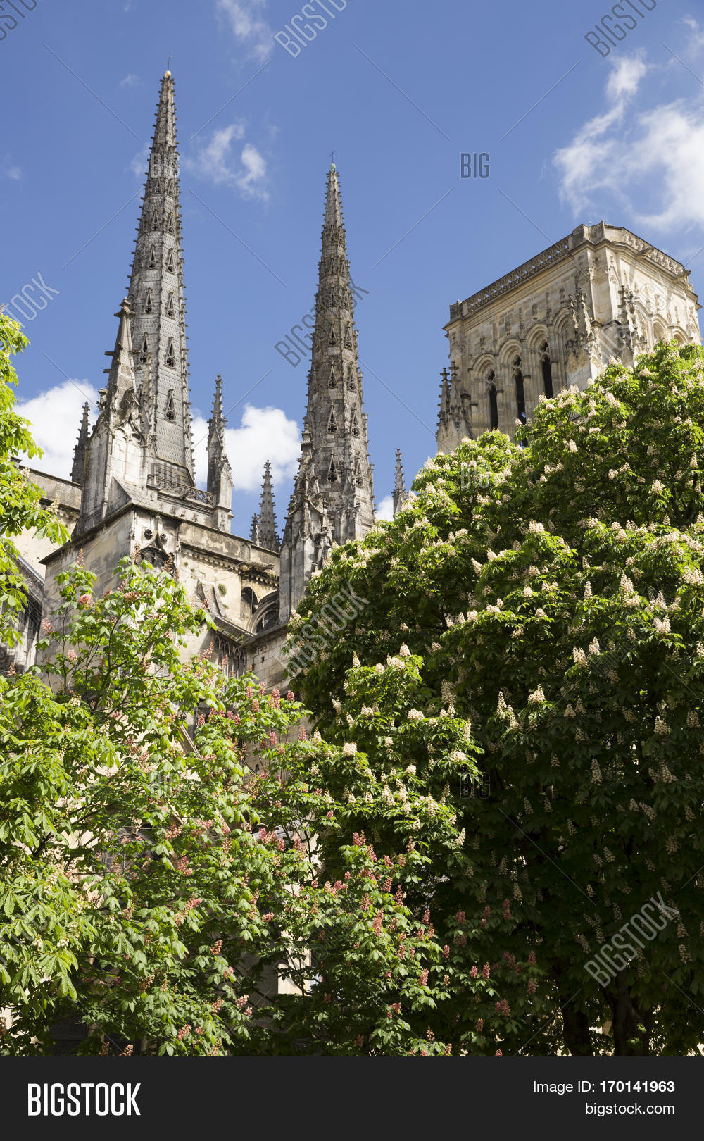 bell tower or spire of saint-andré cathedral, behing green tree