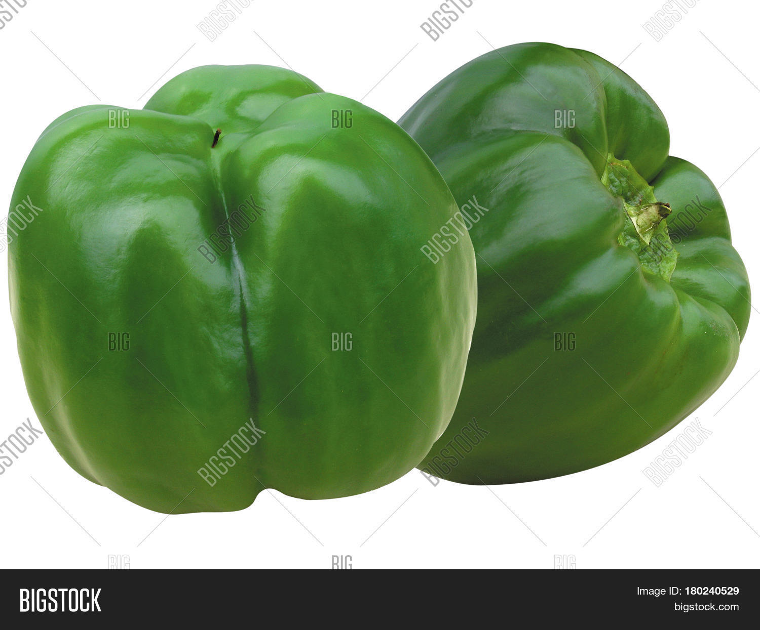 bell peppers, a cultivar group of the species capsicum annuum