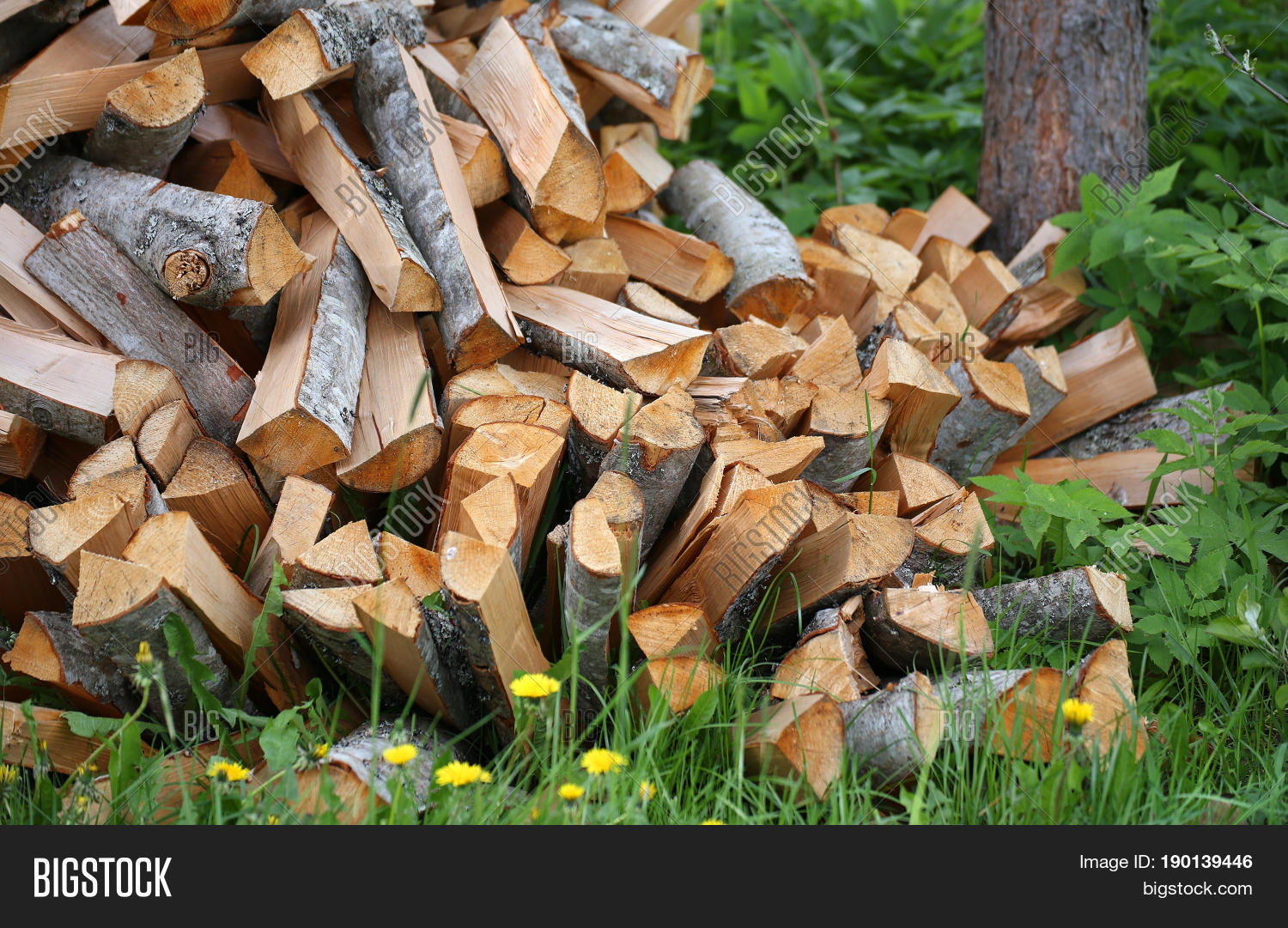 big pile of firewood for the furnace, the background.