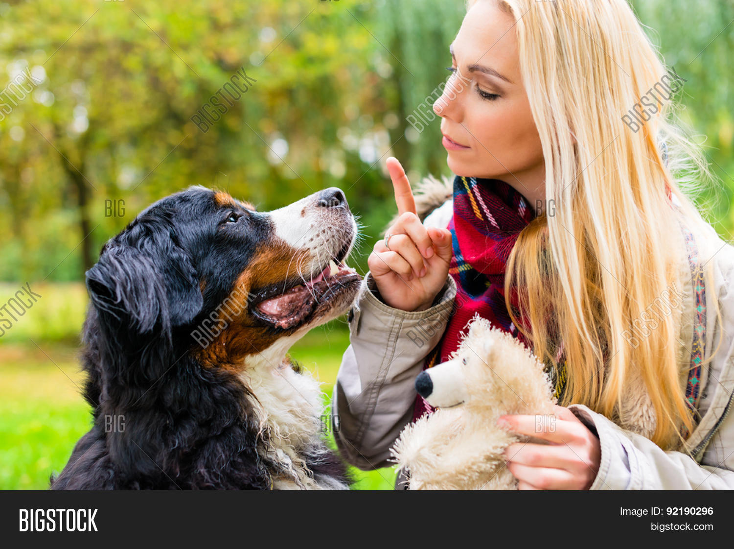 girl in autumn park training her dog in obedience giving the sit