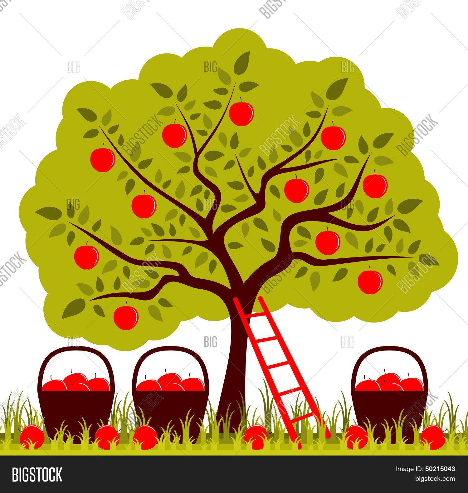 创建 lightbox 公开该 lightbox 保存取消   保存 vector apple tree