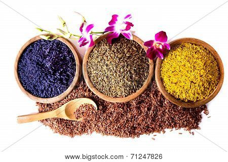 germinated brown rice