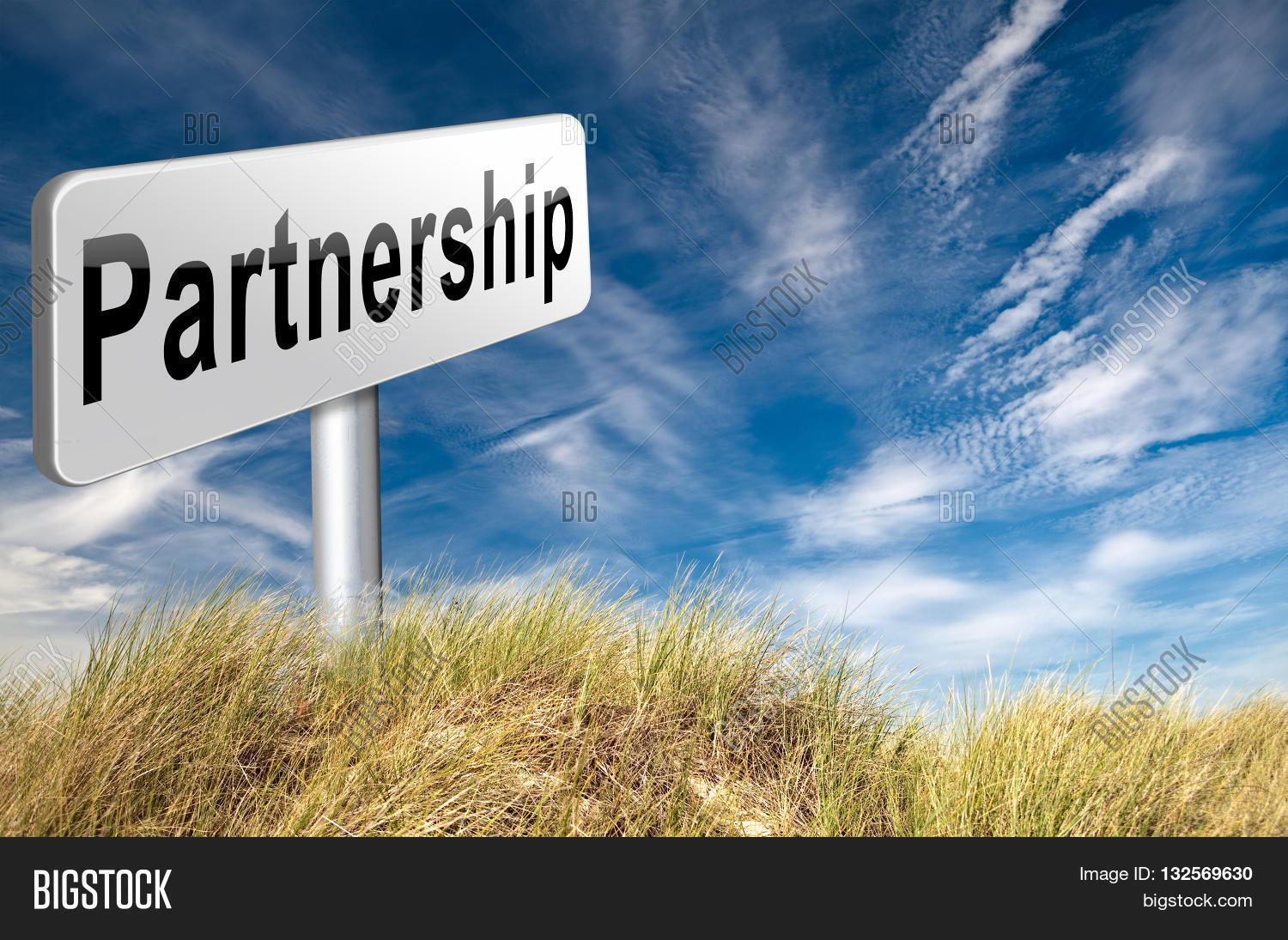 partnership partners in crime or business partner cooperate pact