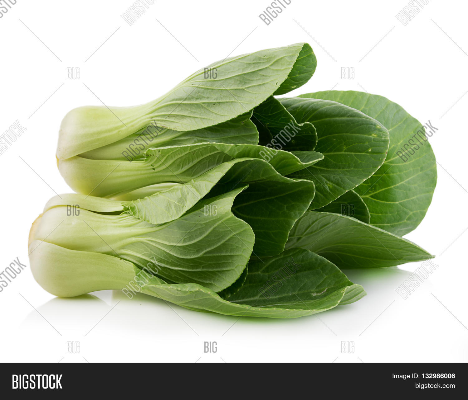 closeup fresh cos (lettuce) on white background