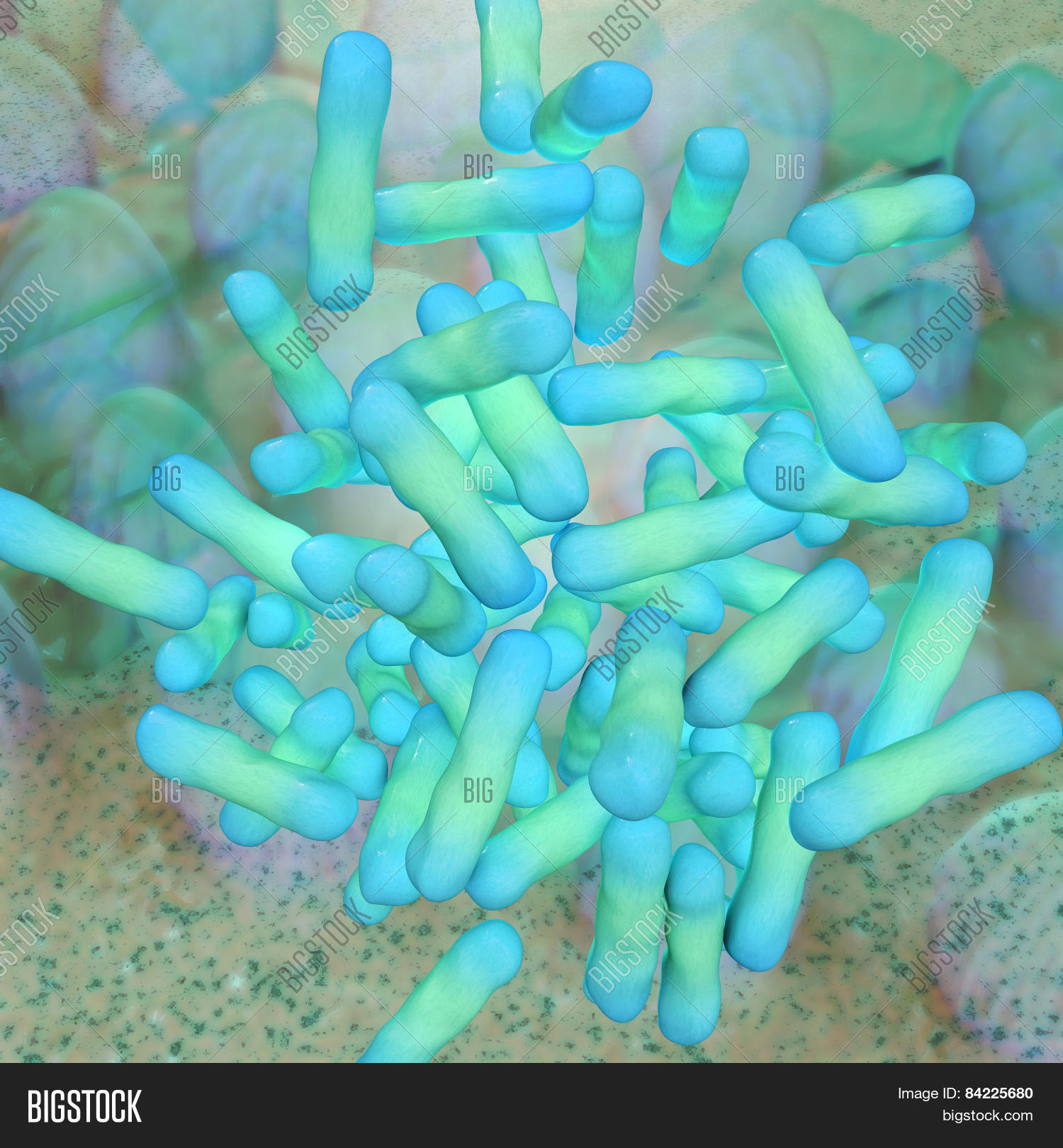 shigella dysenteriae bacteria in the laboratory - 3d rendered